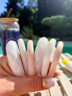 Les joncs simples BLANC & BEIGE